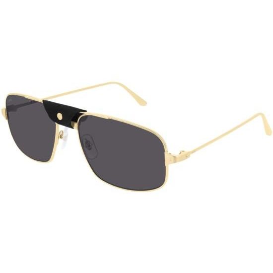 Cartier نظارة شمسيه CT0193S 001 ZB
