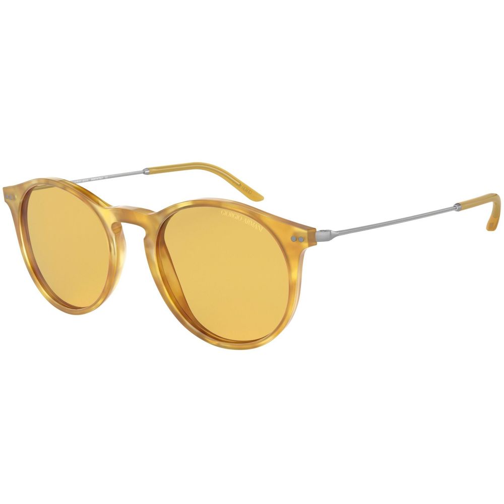 Giorgio Armani Sluneční brýle AR 8121 5761/85