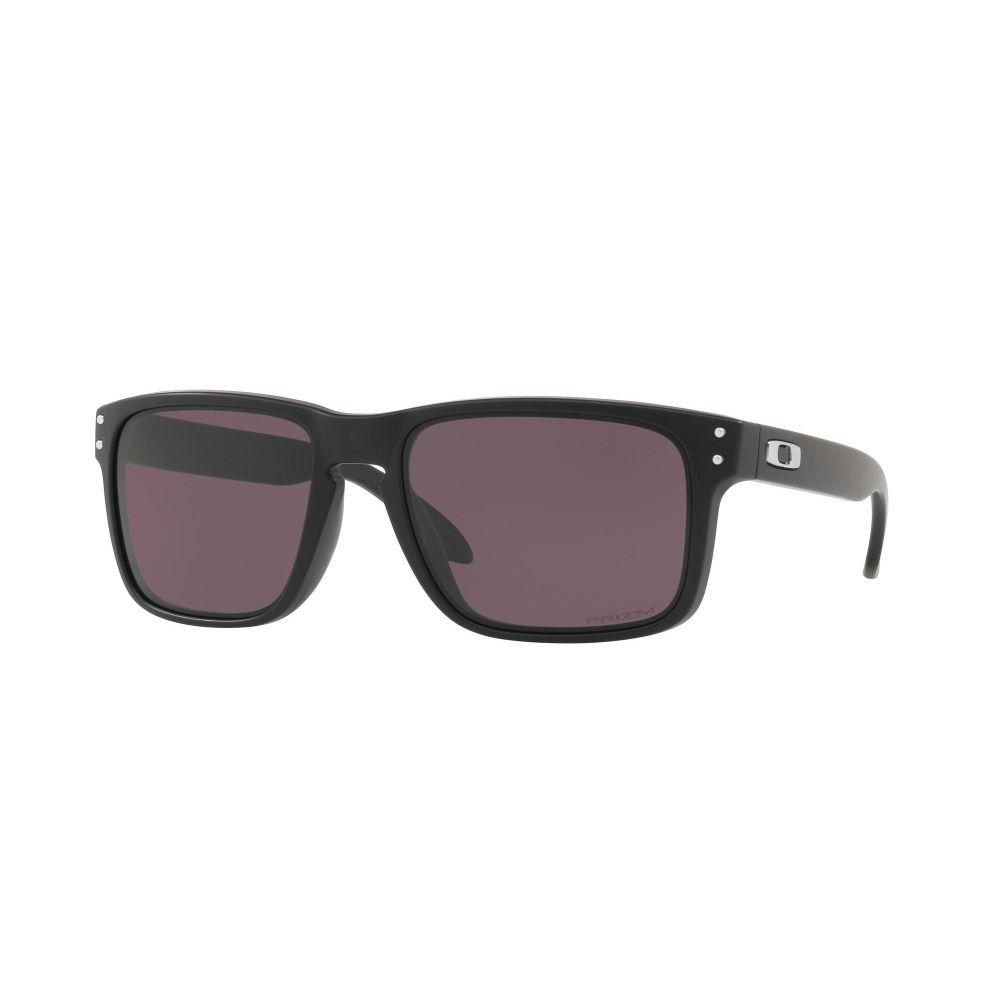 Oakley Sluneční brýle HOLBROOK OO 9102 9102-E8