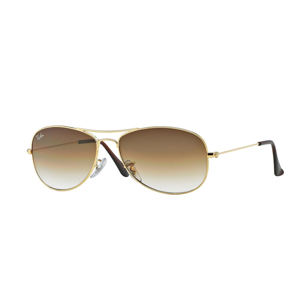 Ray-Ban Sluneční brýle COCKPIT RB 3362 001/51 A