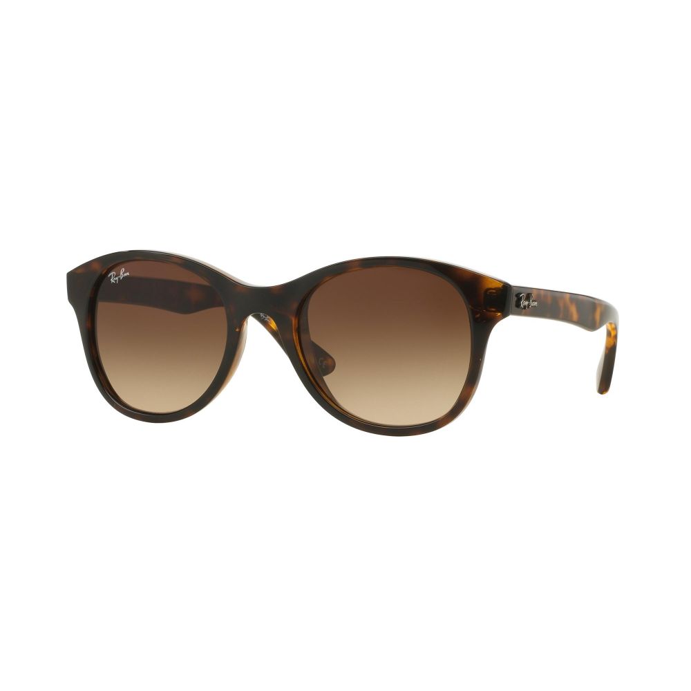 Ray-Ban Sluneční brýle PLASTIC ROUND RB 4203 710/13