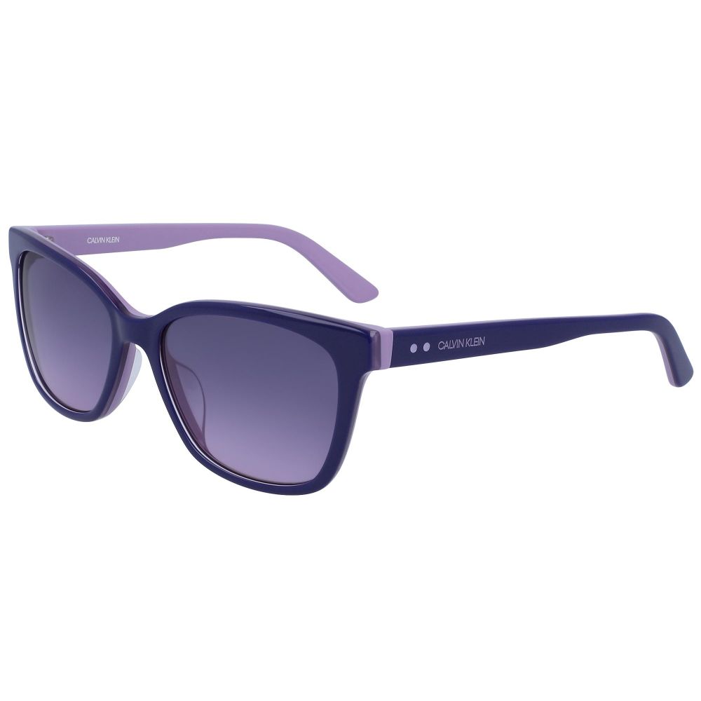 Calvin Klein Solbriller CK19503S 505 A