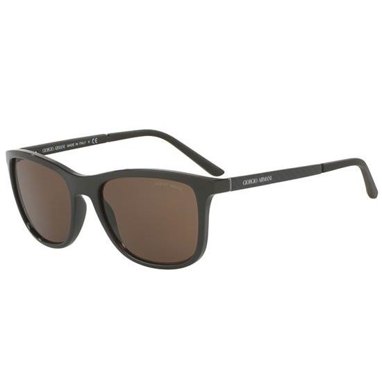 Giorgio Armani Solbriller AR 8087 5581/73