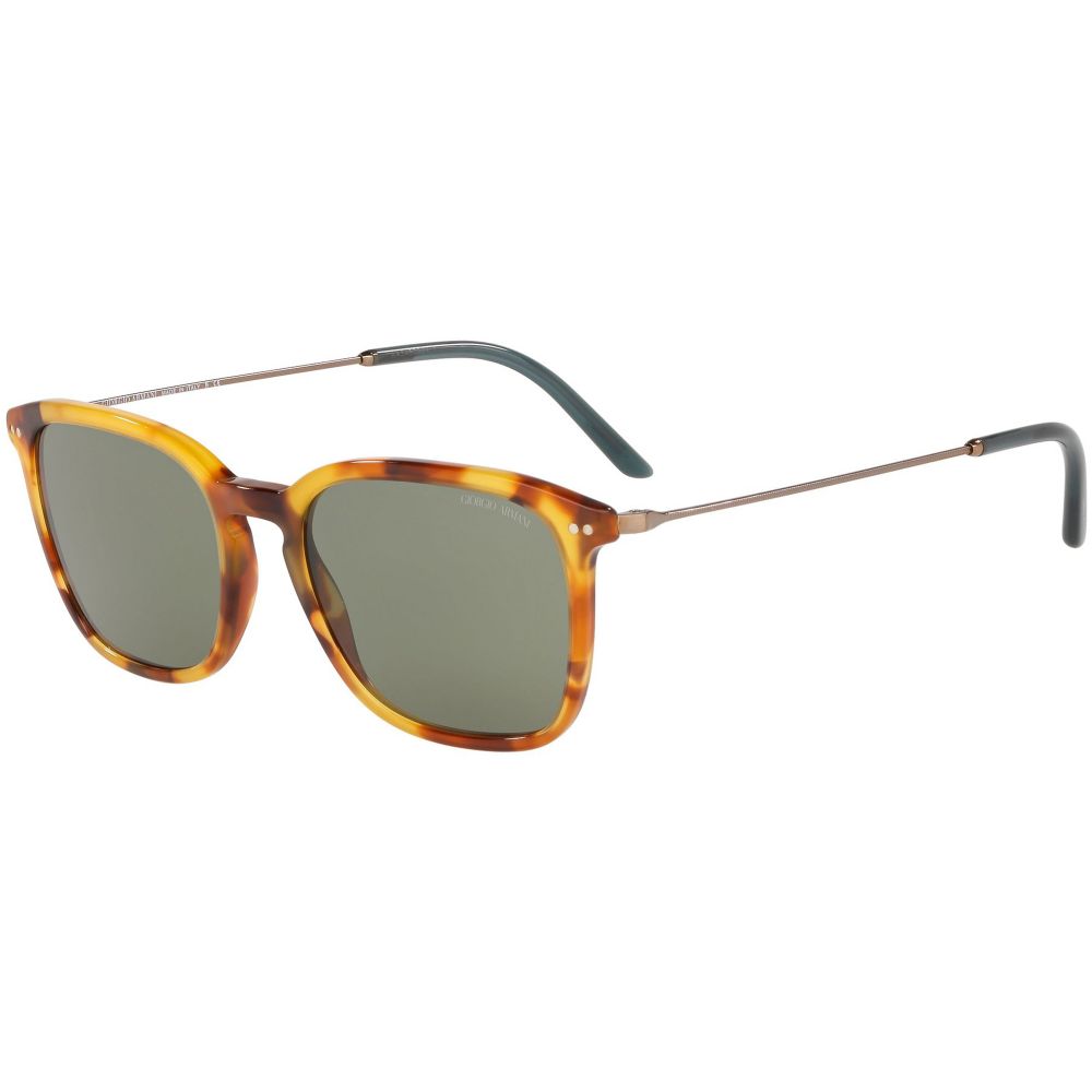 Giorgio Armani Solbriller AR 8111 5760/2