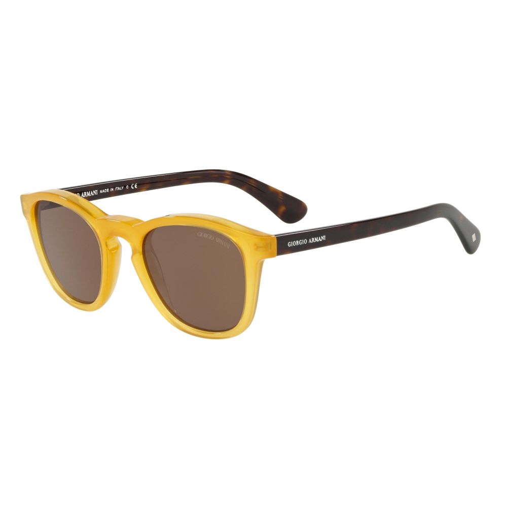 Giorgio Armani Solbriller AR 8112 5027/73 A