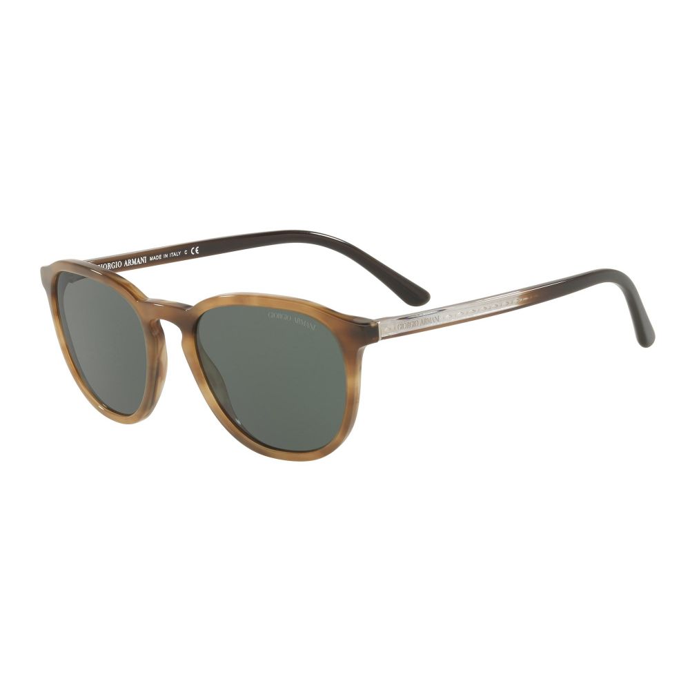 Giorgio Armani Solbriller FRAMES OF LIFE AR 8104 5617/71