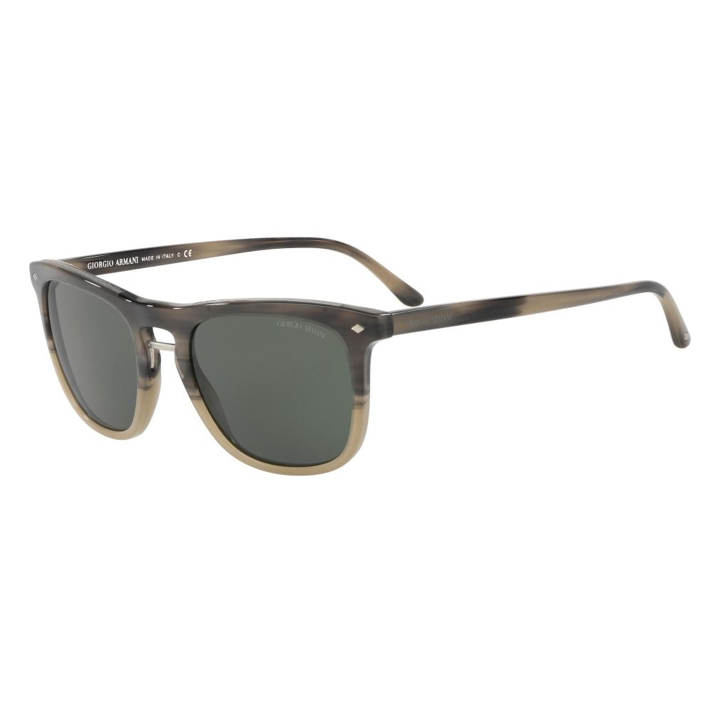 Giorgio Armani Solbriller FRAMES OF LIFE AR 8107 5656/31