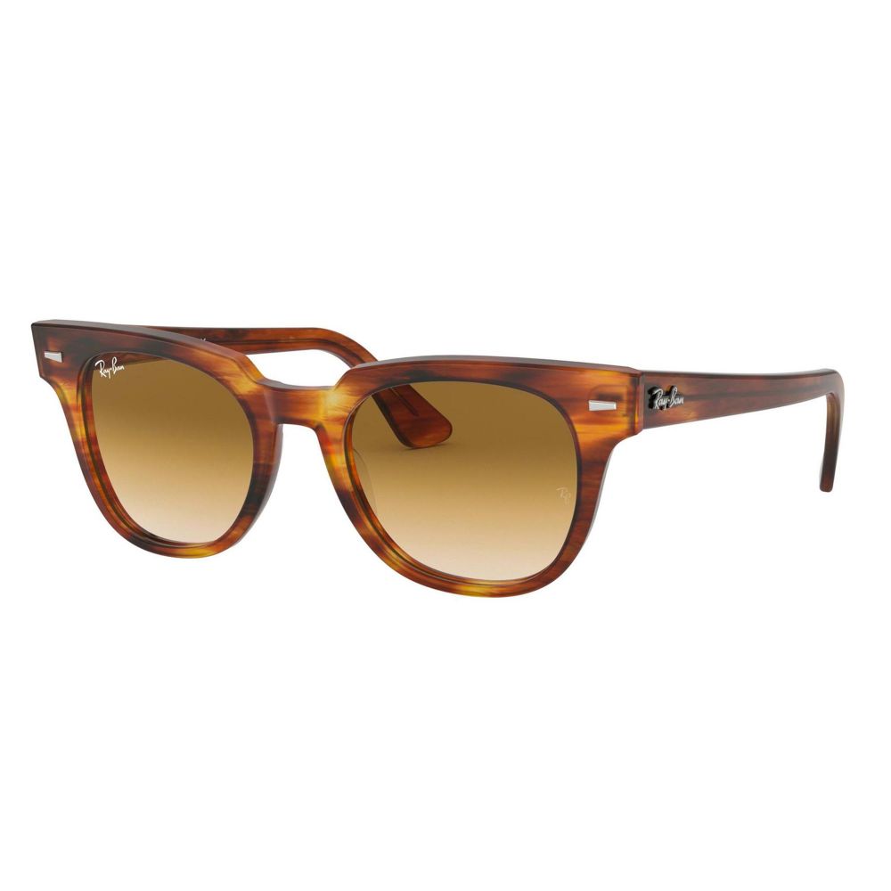 Ray-Ban Solbriller METEOR RB 2168 954/51