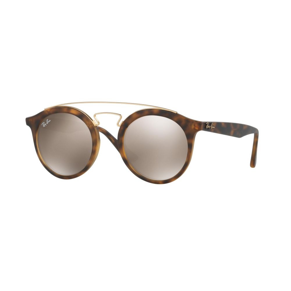 Ray-Ban Solbriller NEW GATSBY RB 4256 6092/5A