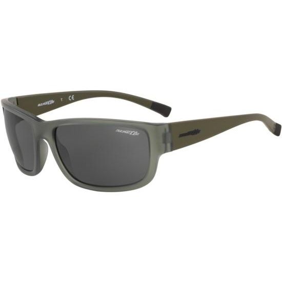 Arnette Sonnenbrille BUSHWICK AN 4256 2585/87