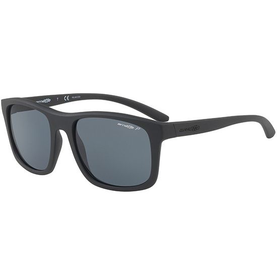 Arnette Sonnenbrille COMPLEMENTARY AN 4233 01/81