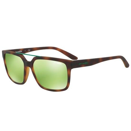 Arnette Sonnenbrille PETROLHEAD AN 4231 2152/8N