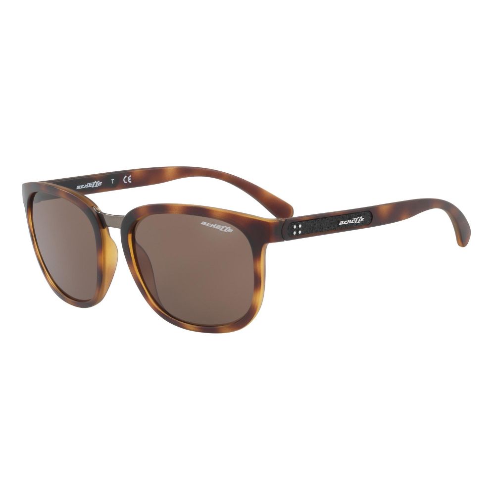 Arnette Sonnenbrille TIGARD AN 4238 2375/73