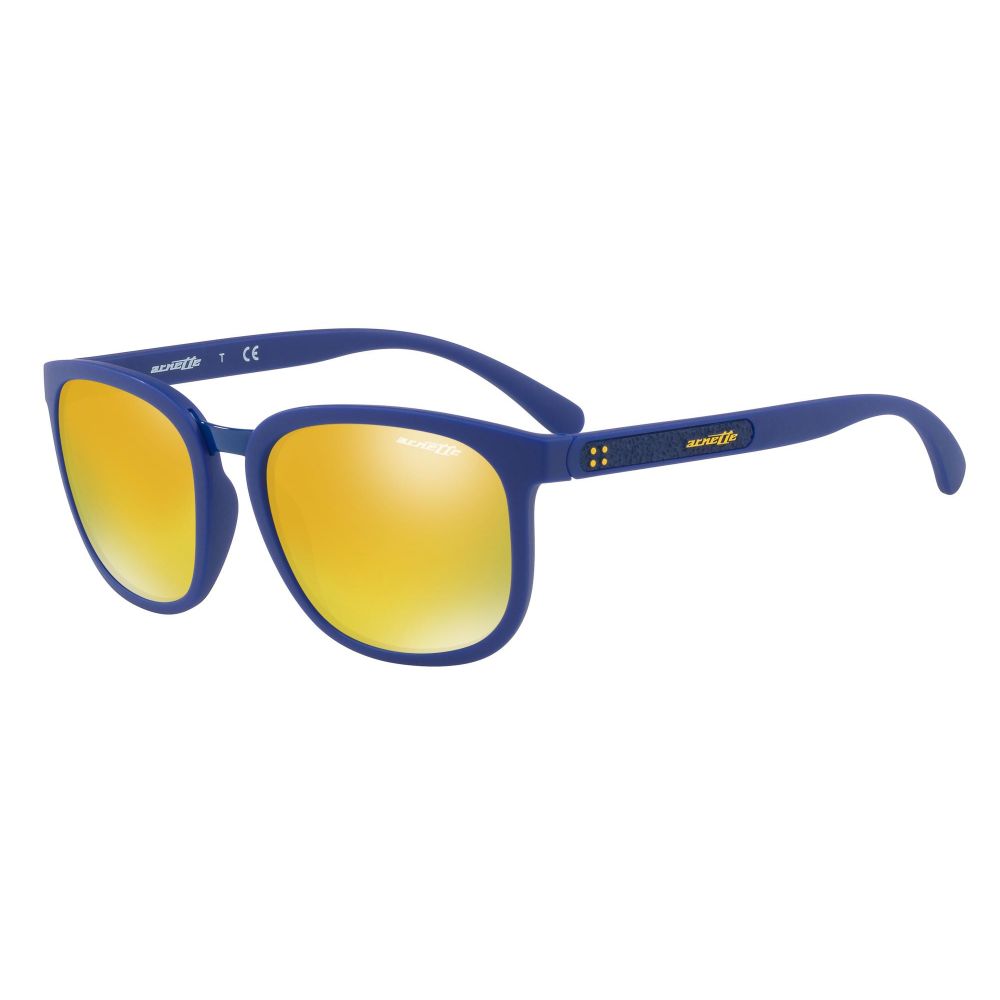 Arnette Sonnenbrille TIGARD AN 4238 2494/N0