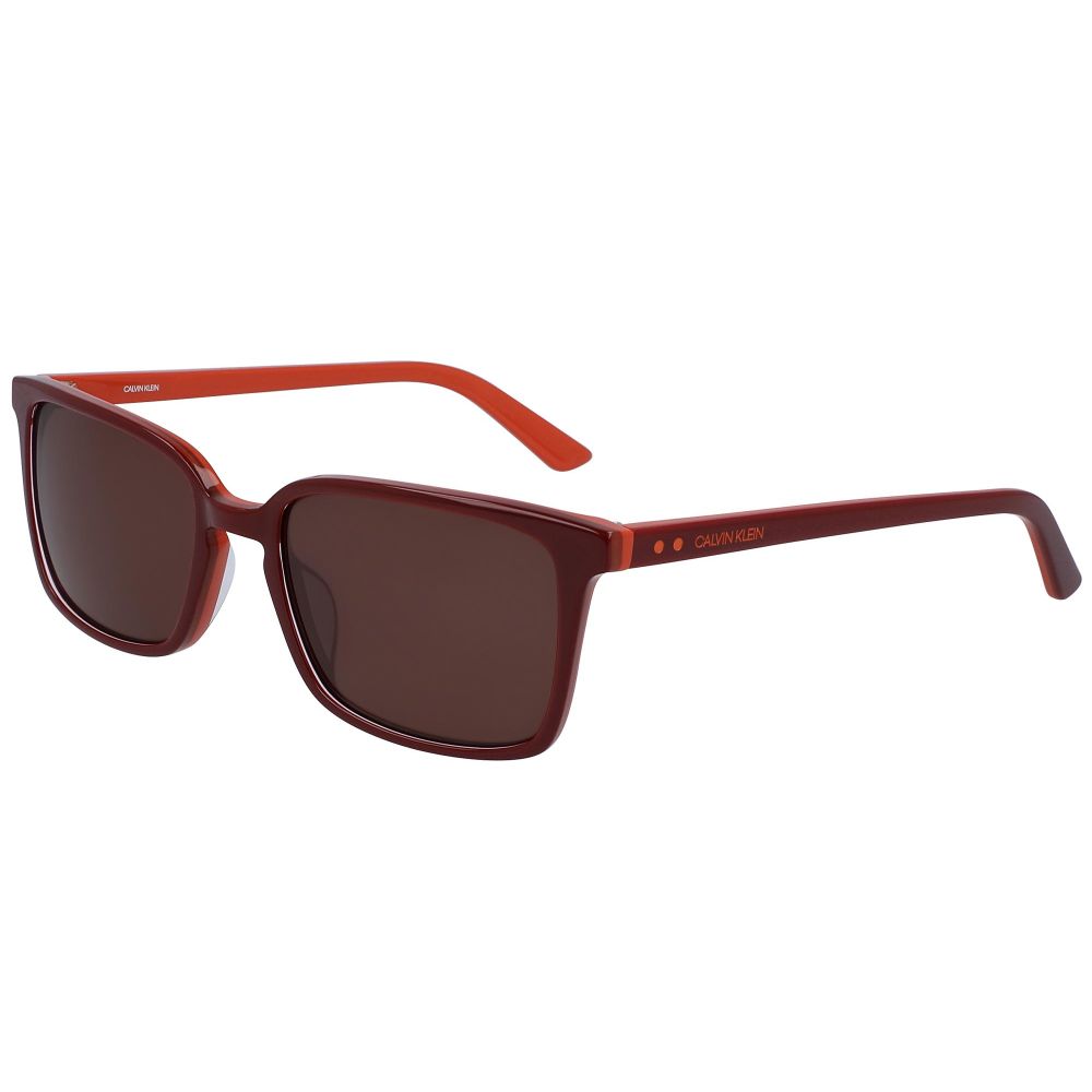 Calvin Klein Sonnenbrille CK19504S 604 C