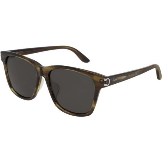 Cartier Sonnenbrille CT0131SA 004 WB