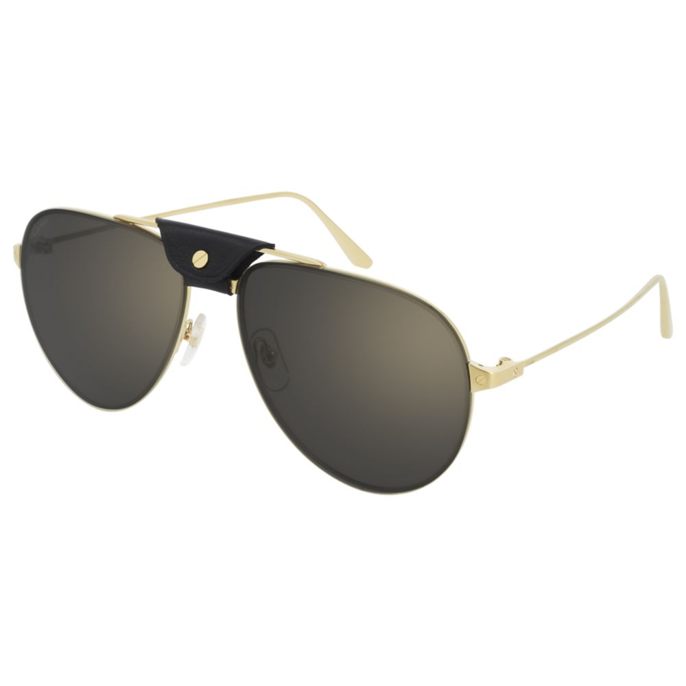 Cartier Sonnenbrille CT0166S 007 C