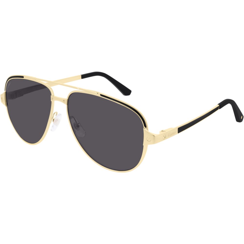 Cartier Sonnenbrille CT0192S 001 WG