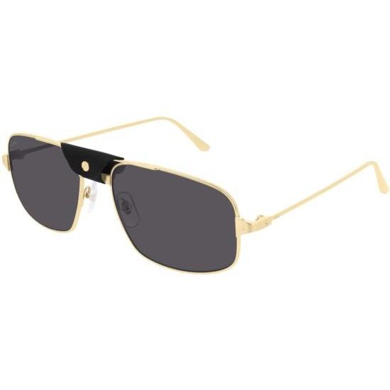 Cartier Sonnenbrille CT0193S 001 ZB