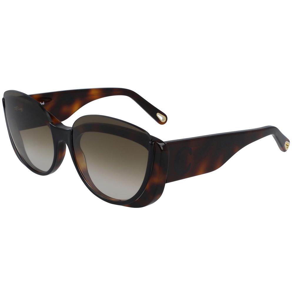 Chloe Sonnenbrille CAYLA CE754S 004 B