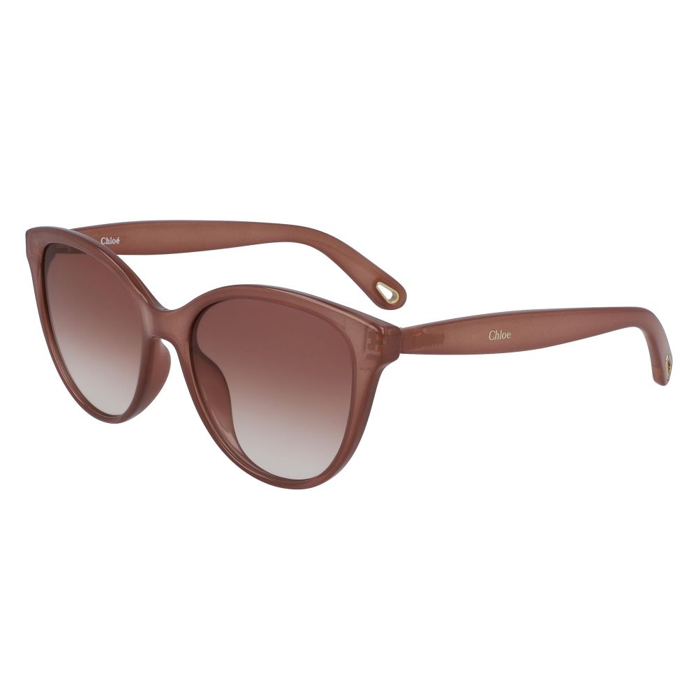 Chloe Sonnenbrille CE767S 643