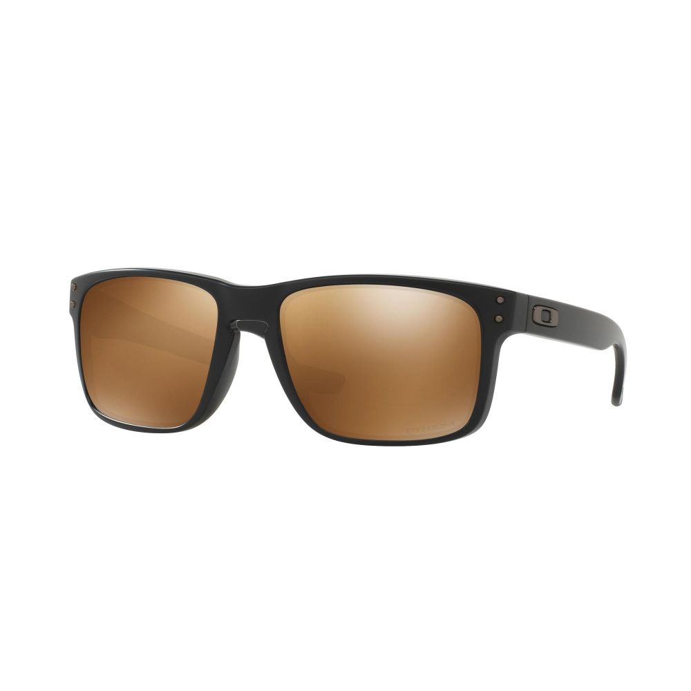 Oakley Sonnenbrille HOLBROOK OO 9102 9102-D7