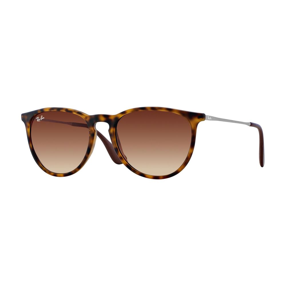 Ray-Ban Sonnenbrille ERIKA RB 4171 865/13