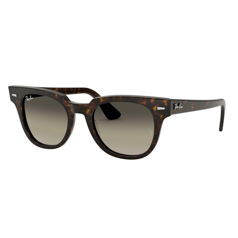 Ray-Ban Sonnenbrille METEOR RB 2168 902/32