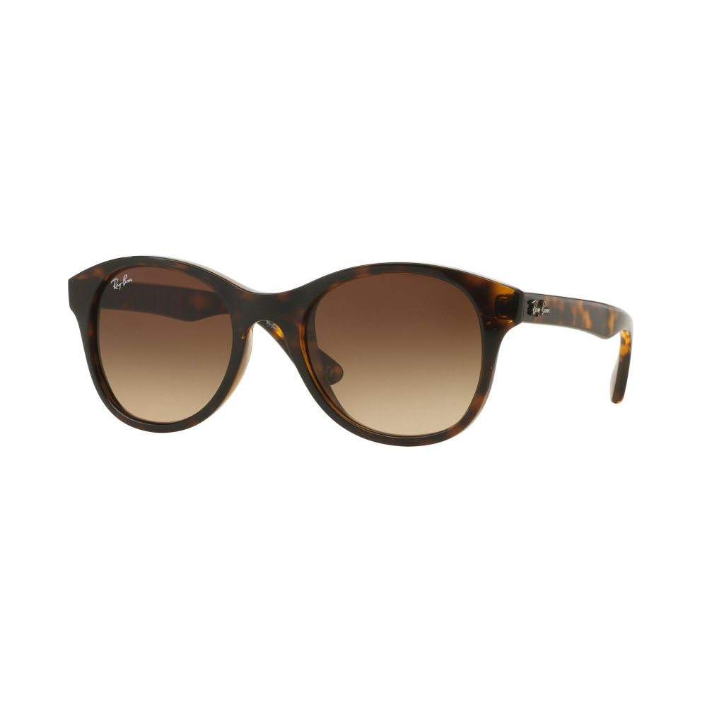 Ray-Ban Sonnenbrille PLASTIC ROUND RB 4203 710/13