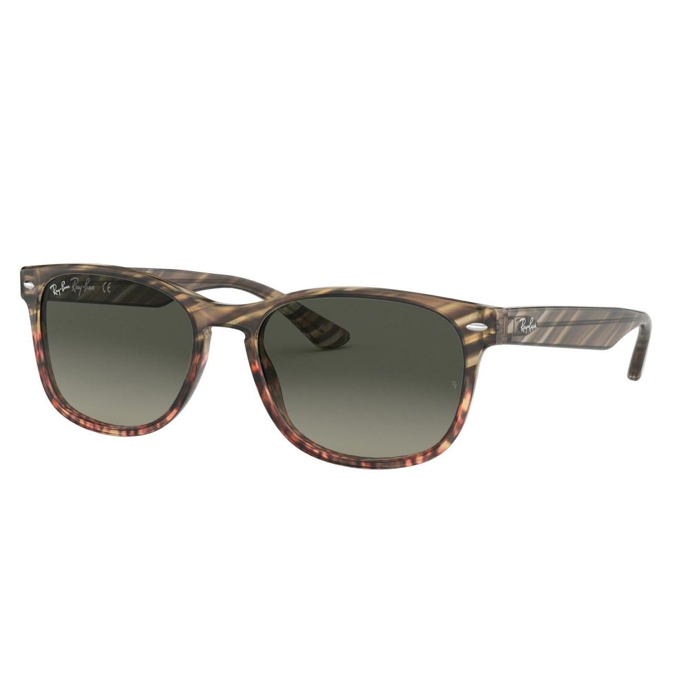 Ray-Ban Sonnenbrille RB 2184 1254/71