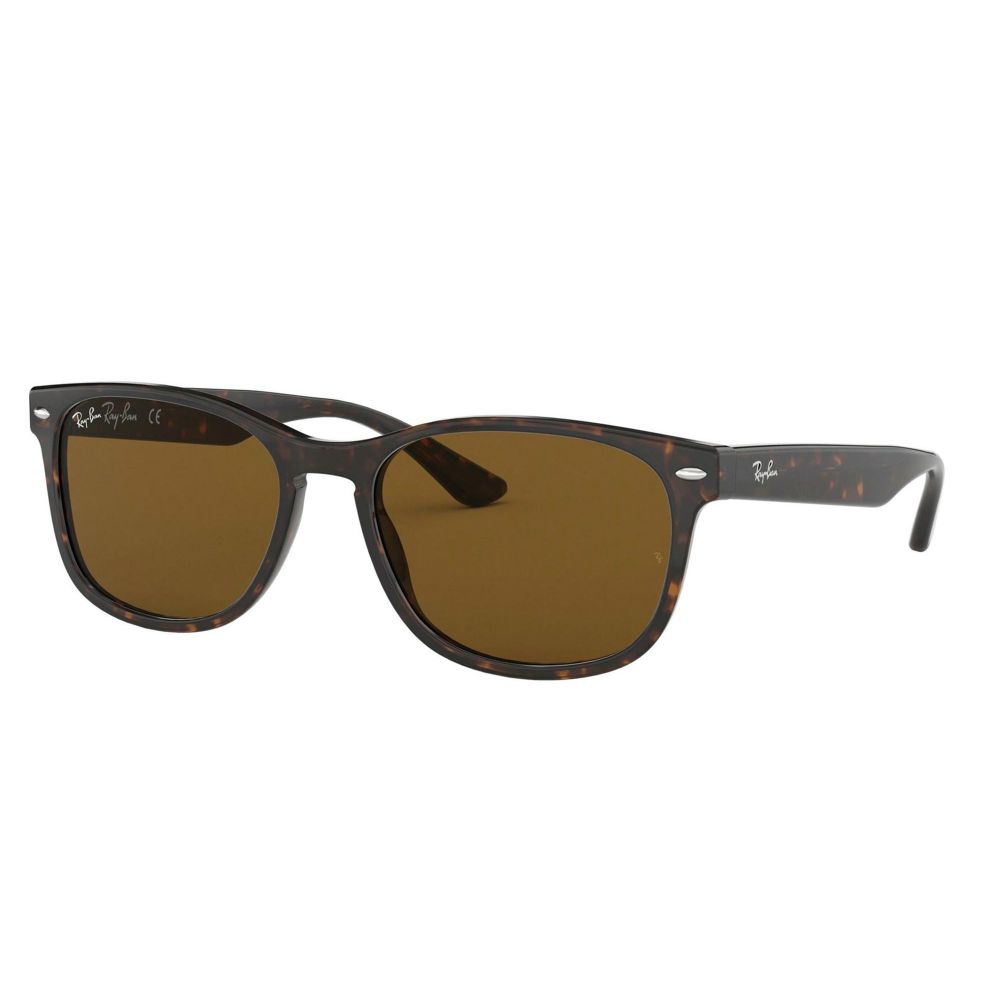 Ray-Ban Sonnenbrille RB 2184 902/33