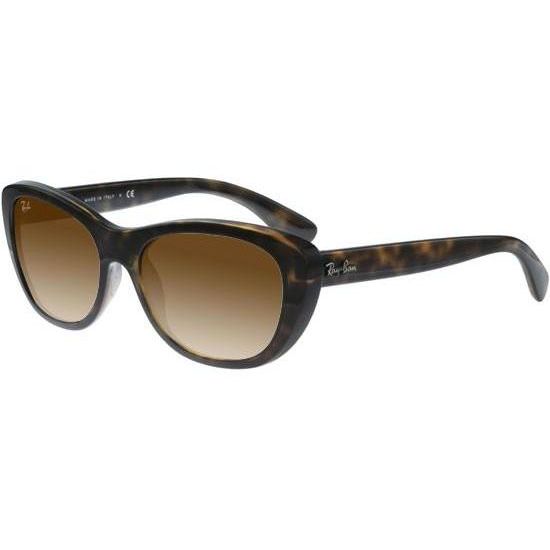 Ray-Ban Sonnenbrille RB 4227 710/13