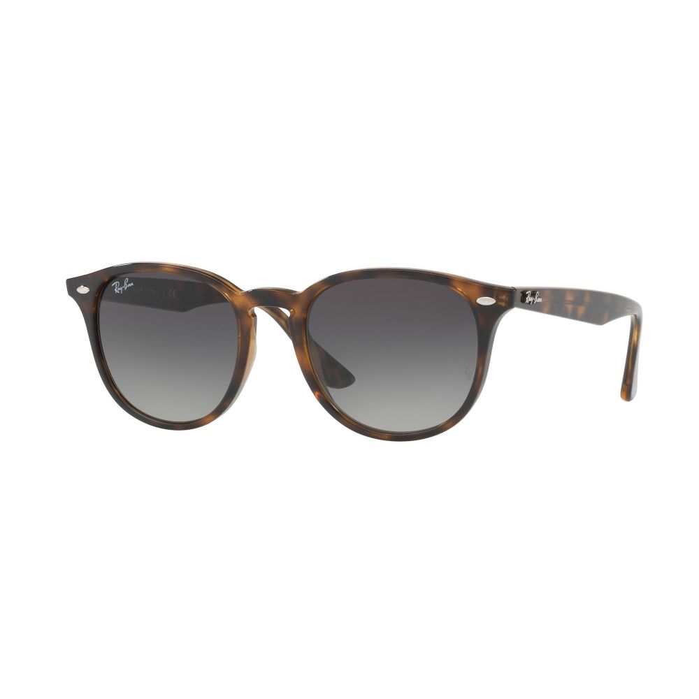 Ray-Ban Sonnenbrille RB 4259 710/11