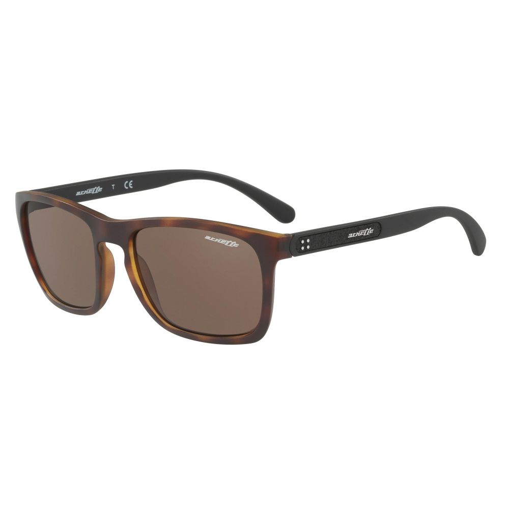 Arnette Sunglasses BURNSIDE AN 4236 2375/73