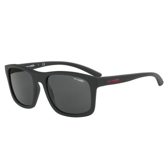 Arnette Sunglasses COMPLEMENTARY AN 4233 01/87 D