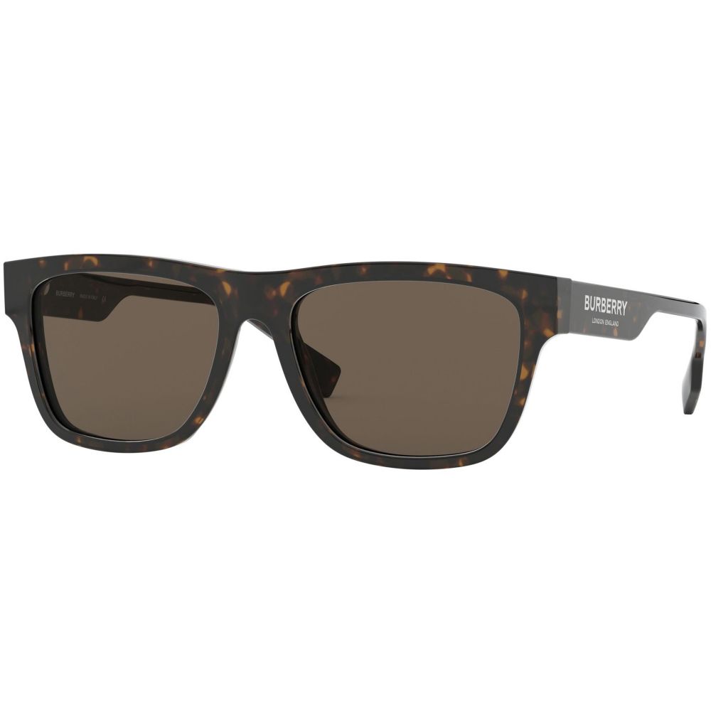 Burberry Sunglasses B LOGO BE 4293 3002/3