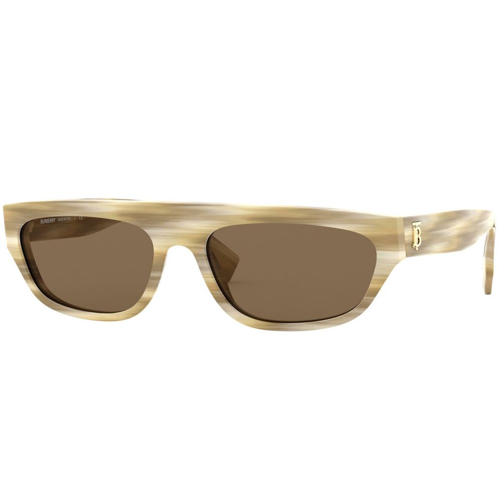 Burberry Sunglasses BE 4301 3826/73
