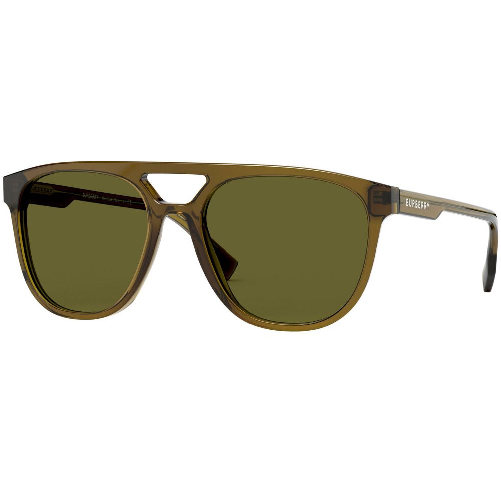Burberry Sunglasses BE 4302 3356/73