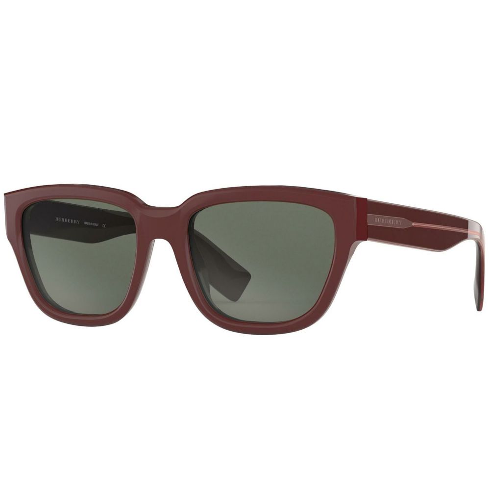 Burberry Sunglasses MAMMOTH BE 4277 3760/3H