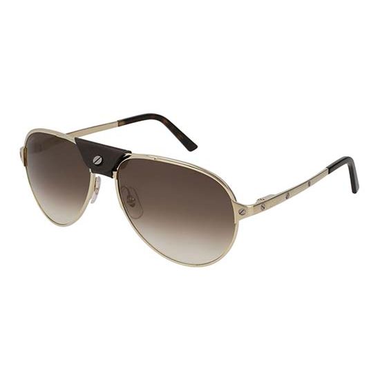Cartier Sunglasses CT0034S 008 A