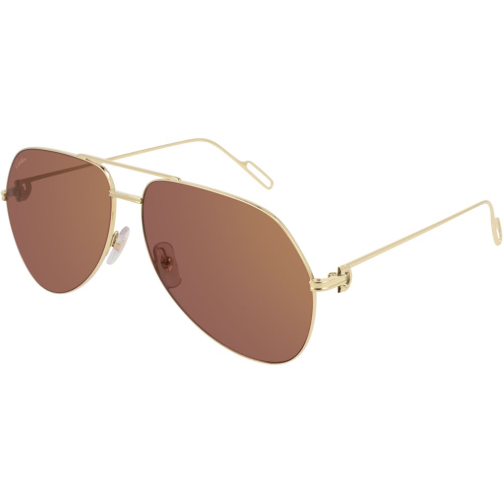 Cartier Sunglasses CT0110S 010 W