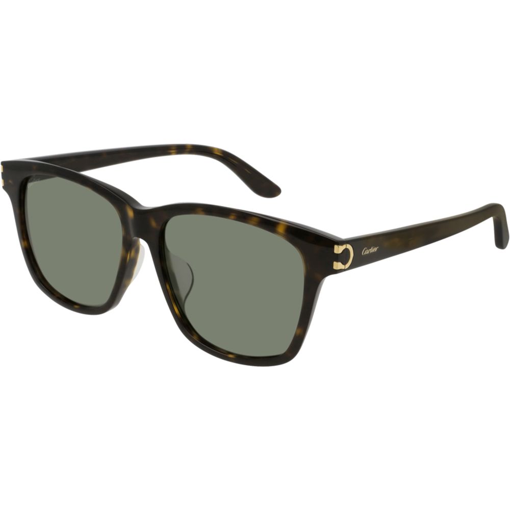 Cartier Sunglasses CT0131SA 002 WC