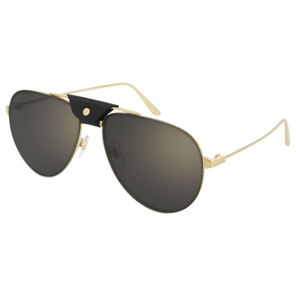 Cartier Sunglasses CT0166S 007 C