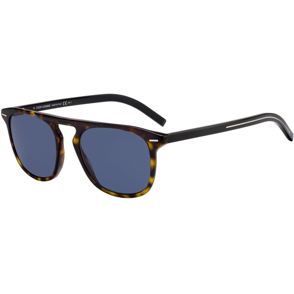 Dior Sunglasses BLACK TIE 249S 086/KU A