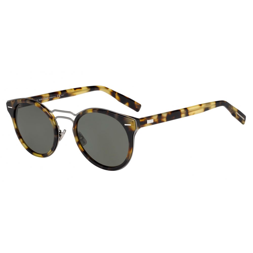 Dior Sunglasses DIOR 0209S 2OT/70