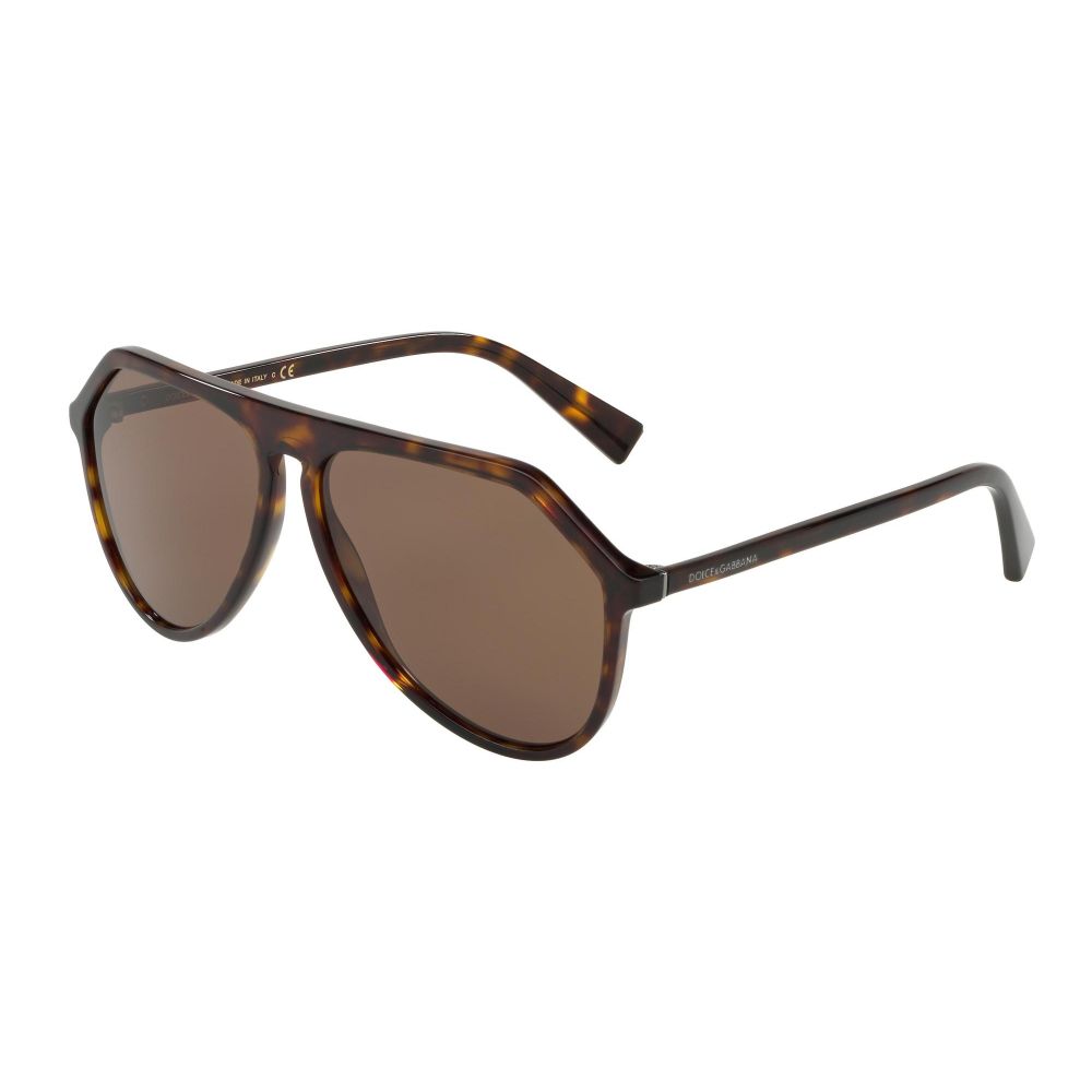 Dolce & Gabbana Sunglasses LESS IS CHIC DG 4341 502/73