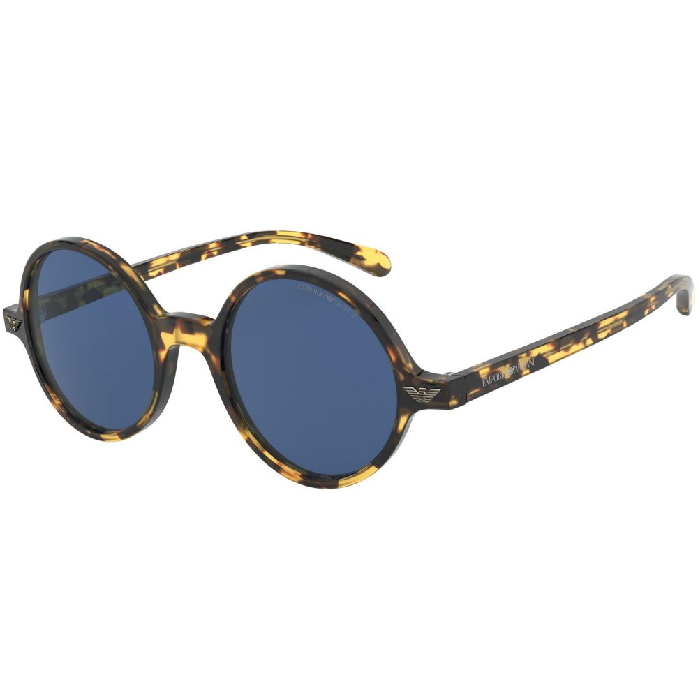 Emporio Armani Sunglasses EA 501M 5791/80