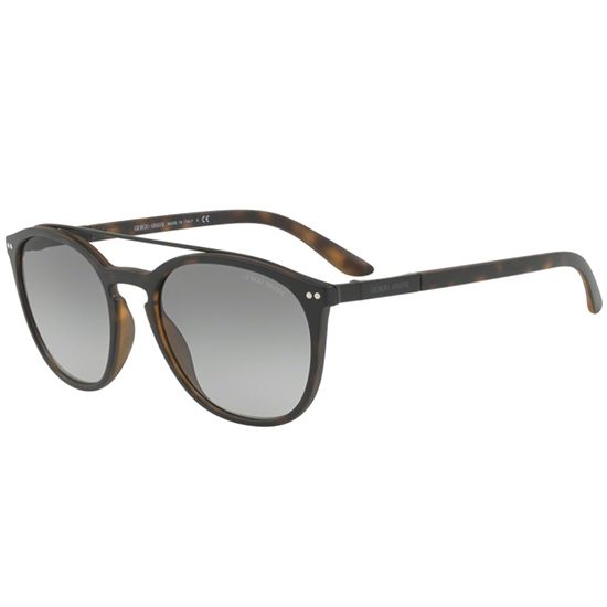 Giorgio Armani Sunglasses AR 8088 5089/11