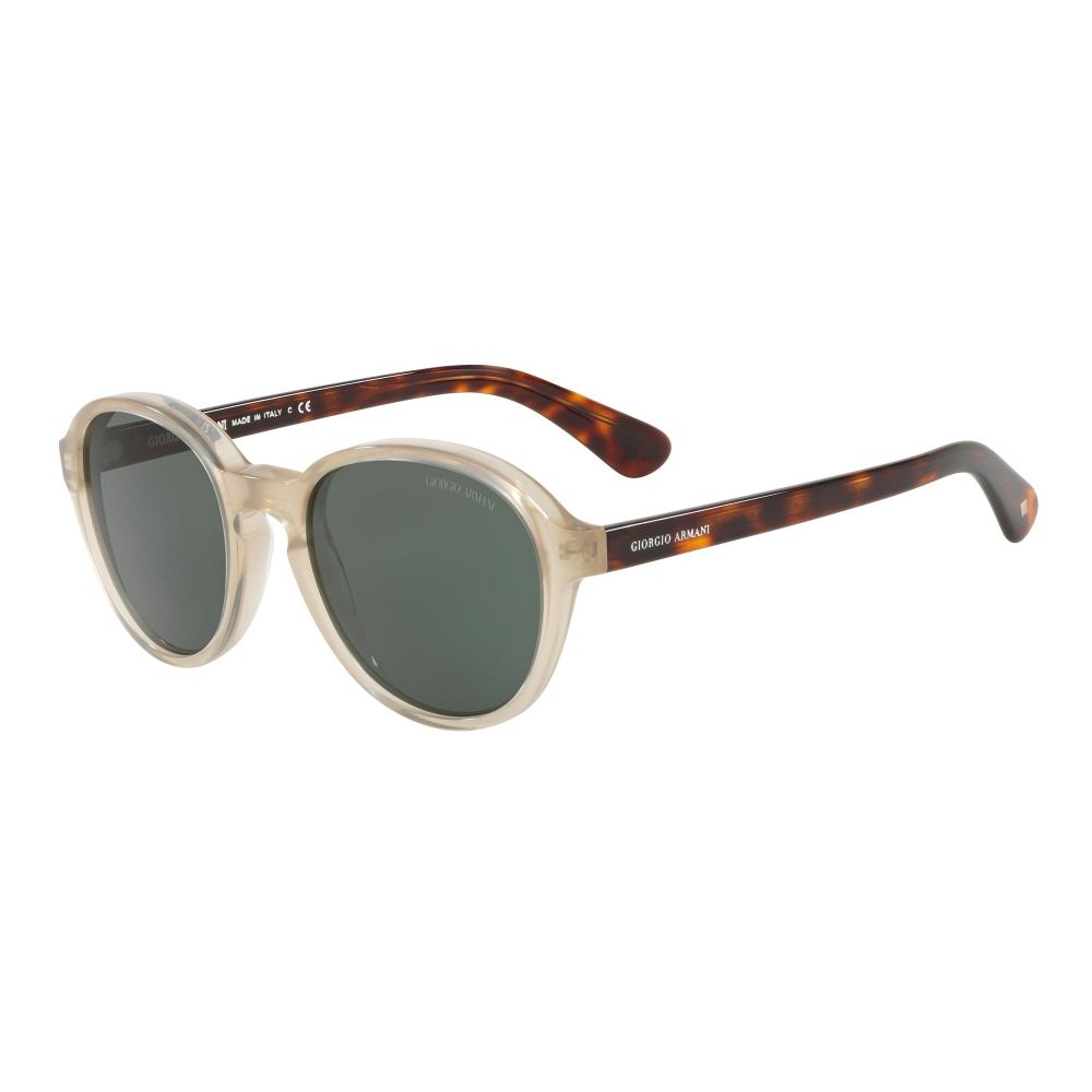 Giorgio Armani Sunglasses AR 8113 5687/71