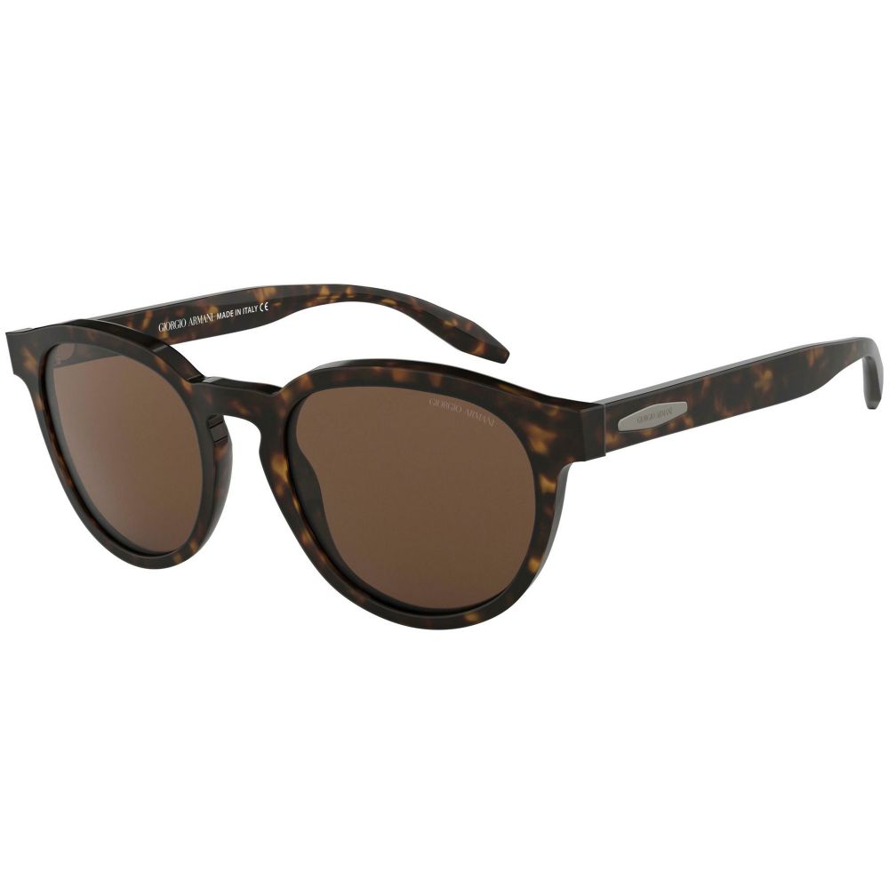 Giorgio Armani Sunglasses AR 8115 5026/73